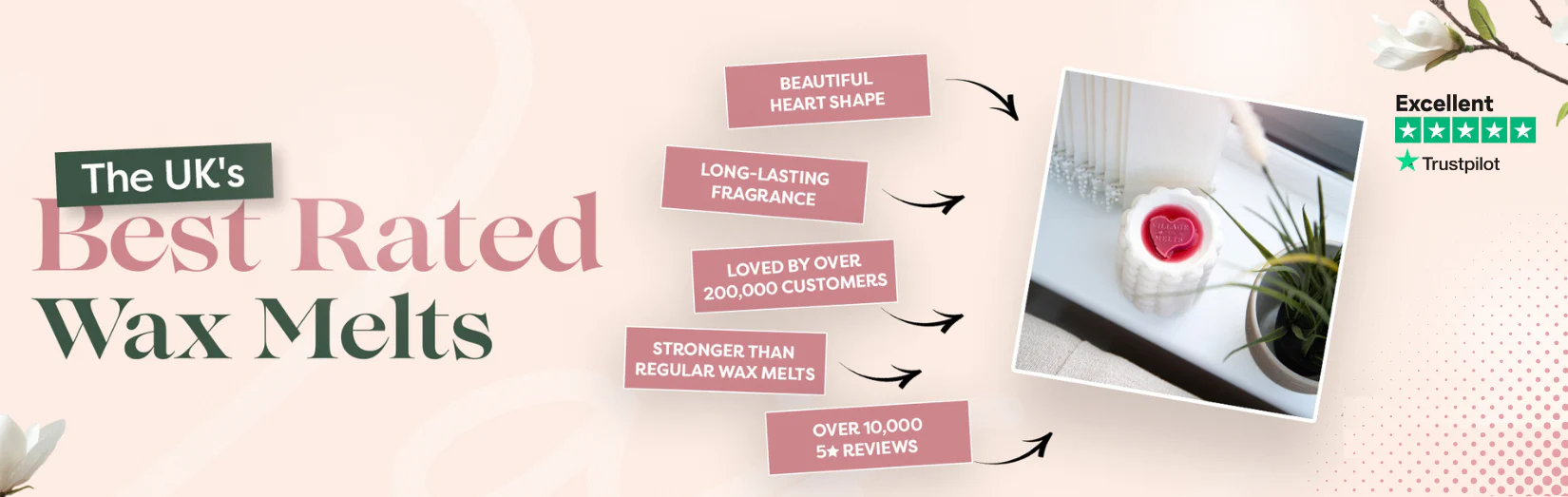Scented Luxury Loved by Millions